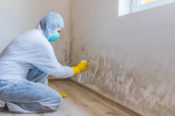 Hvac And Air Duct Mold Remediation inspection of HVAC system in Burnt Cabins