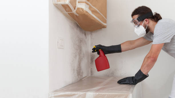 Attic Mold Remediation treatment on roof deck in Burnt Cabins